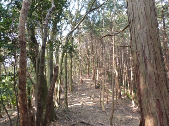 画像26